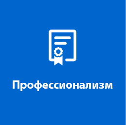 Профессионализм